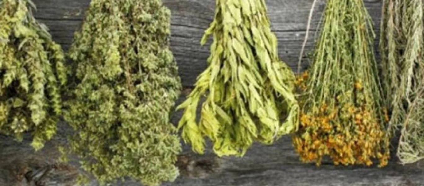 Aυτό είναι το βότανο που βοηθά στην κατάθλιψη